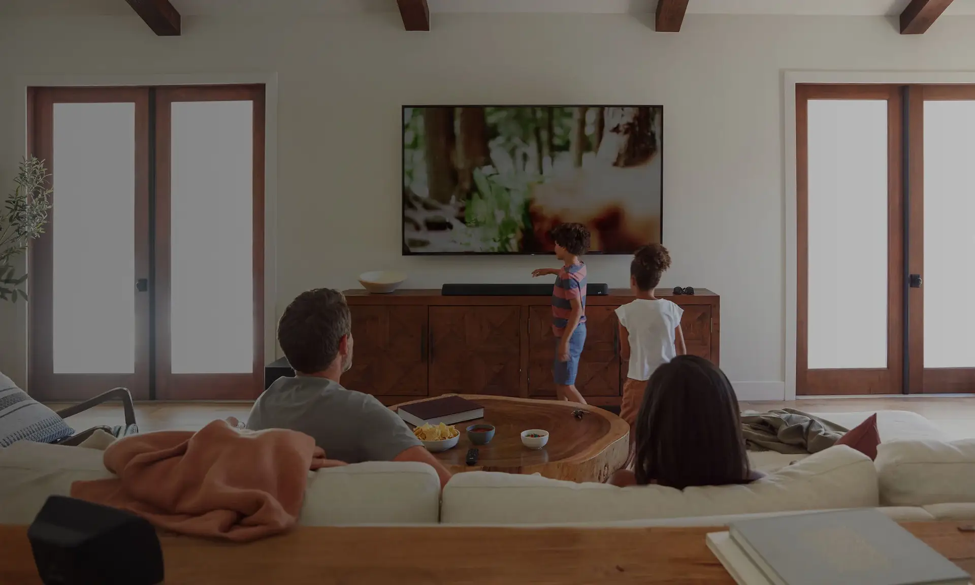 Polk Audio Systems