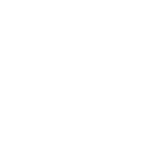 Polk Logo
